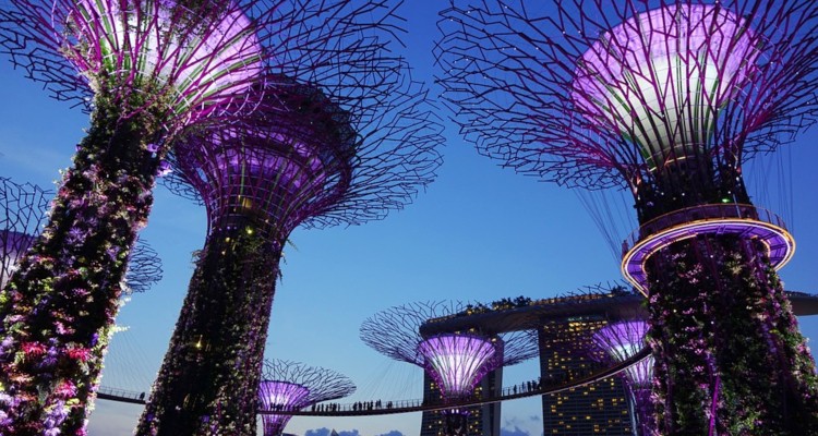 7 Expat Tips for Singapore