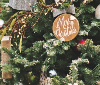 Christmas tree - Christmas destinations